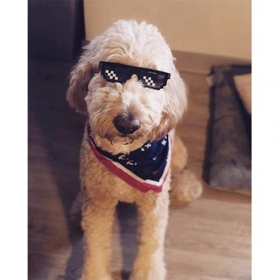 Universal Γυαλιά Ηλίου με Τετράγωνα - Μαύρο / Λευκό Gadgets - Παιχνίδια - Hobby