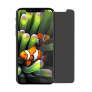 ANGIBABE 0.3mm Anti-spy Tempered Glass Protector Guard Film for iPhone X/10 5.8-inch